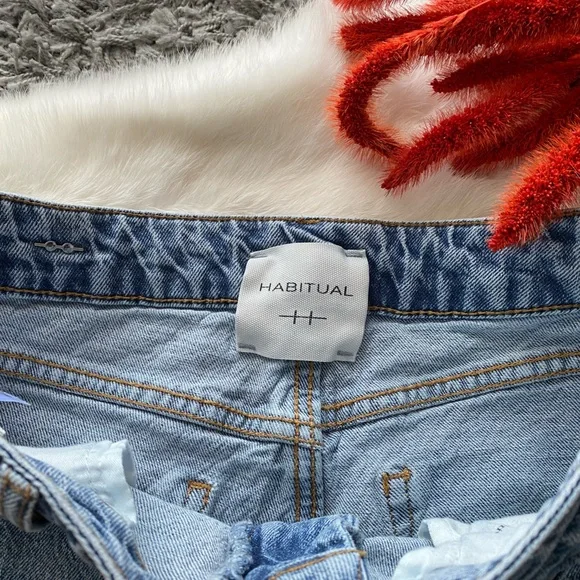 Habitual Denver High Rise Wide Leg Jean - Picture 4 of 10